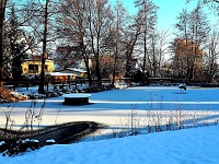 Blick auf den Dorfteich im Bad Harzburger Stadtteil Schlewecke in winterlicher Landschaft